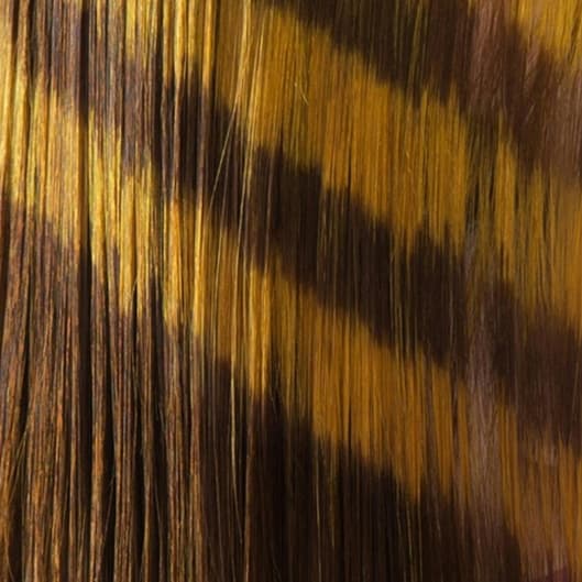 Color Corrections at Pink Pasture Salon in Gladewater, TX